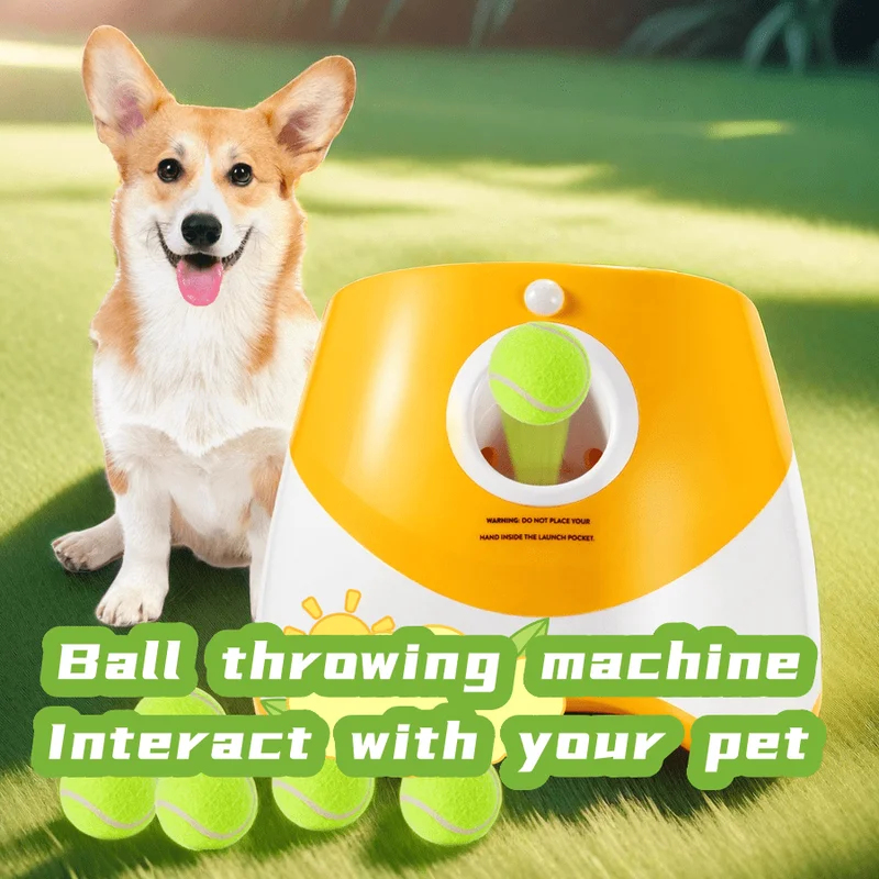 Dog Launcher Automatic Dogs Ch - Catapult Launcher Toy 评论和价格